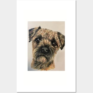 Border Terrier Posters and Art